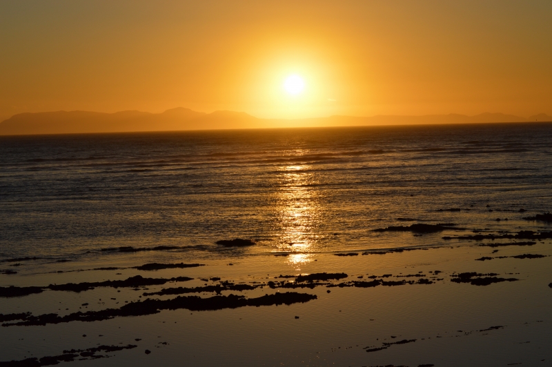 DSC_0091_resize_resize
